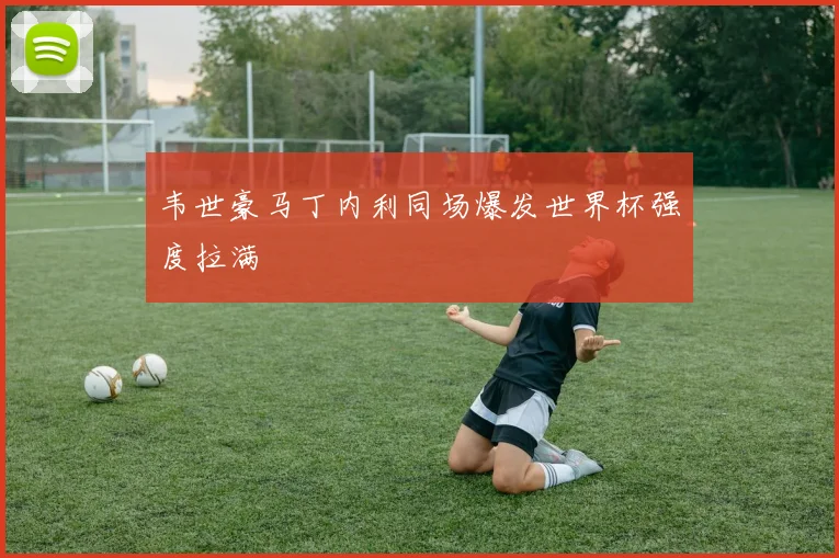韦世豪马丁内利同场爆发世界杯强度拉满