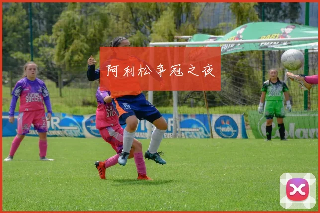 阿利松争冠之夜