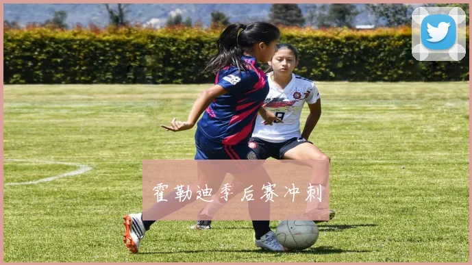 霍勒迪季后赛冲刺