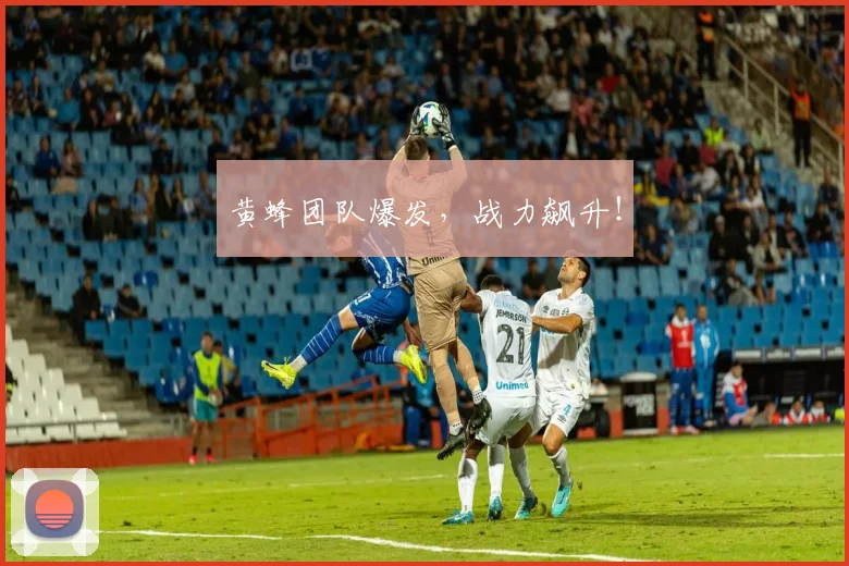 黄蜂团队爆发，战力飙升！