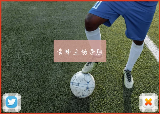 黄蜂主场争胜