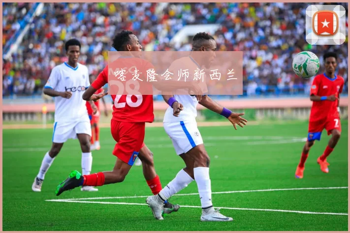 喀麦隆会师新西兰