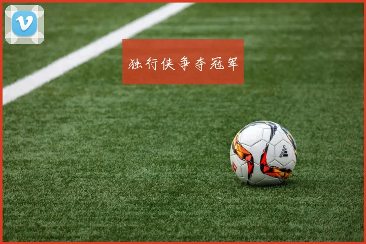 独行侠争夺冠军