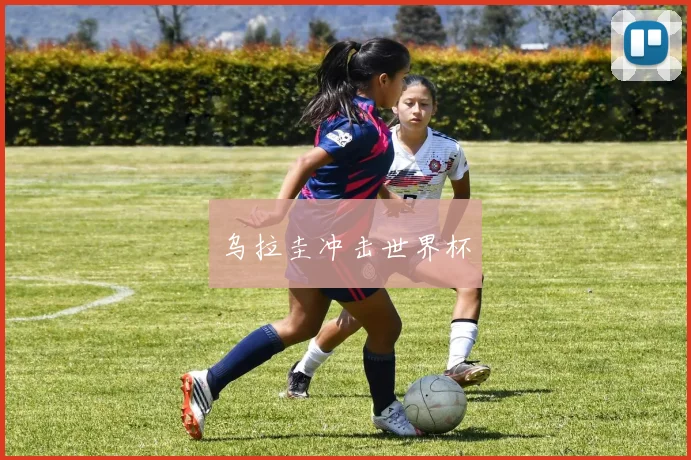 乌拉圭冲击世界杯
