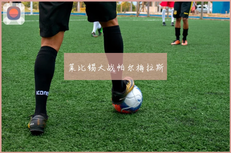 莱比锡大战帕尔梅拉斯