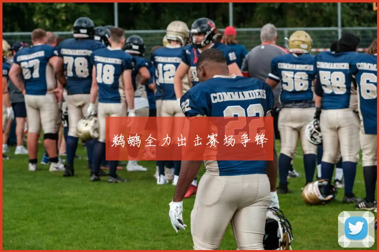 鹈鹕全力出击赛场争锋
