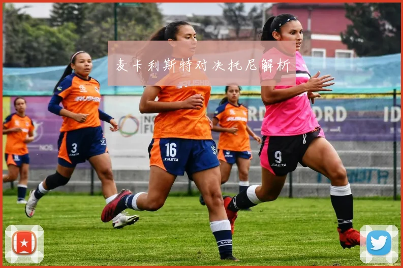 麦卡利斯特对决托尼解析