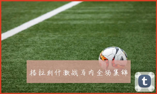 格拉利什激战马内全场集锦