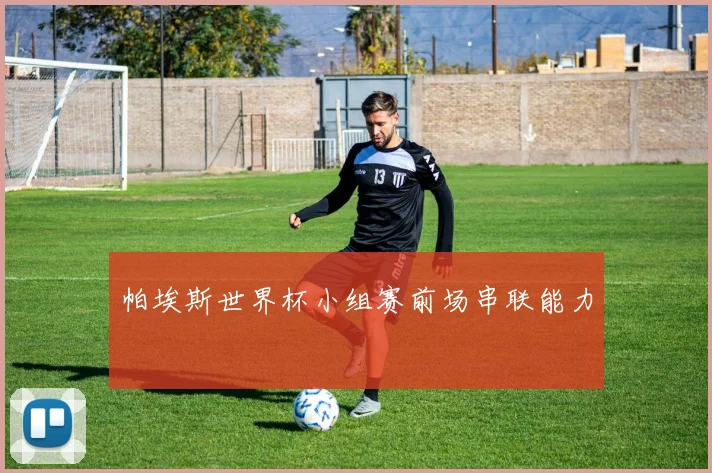 帕埃斯世界杯小组赛前场串联能力