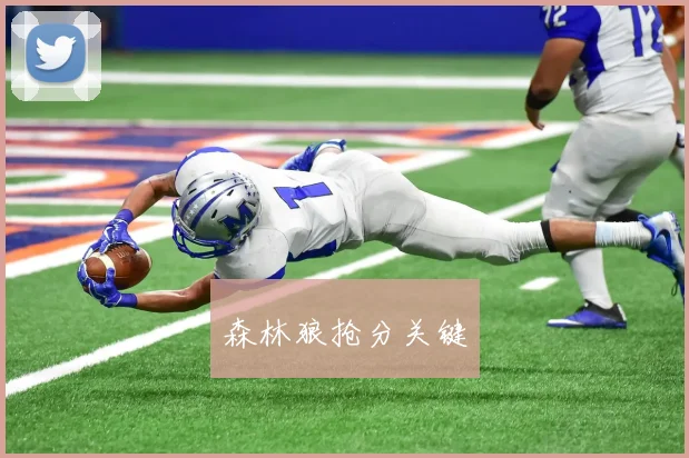 森林狼抢分关键