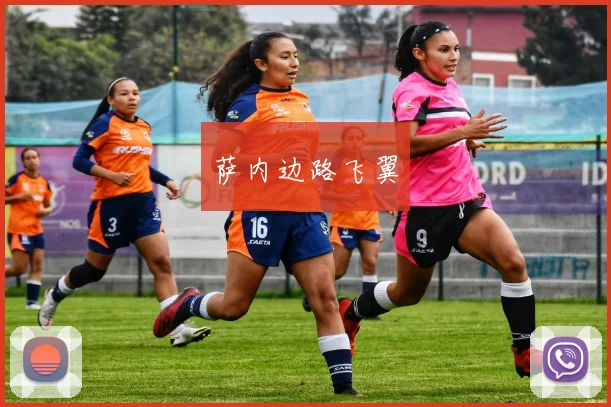 萨内边路飞翼