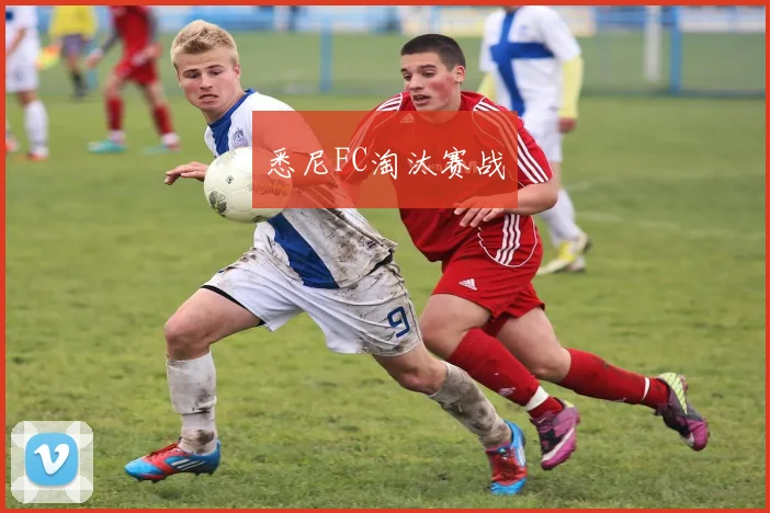 悉尼FC淘汰赛战
