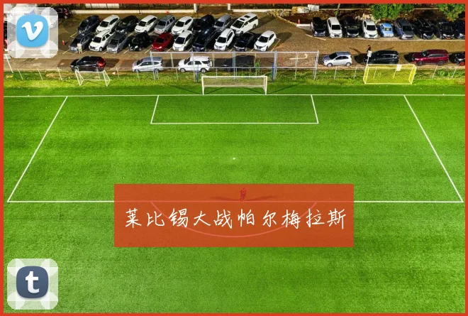 莱比锡大战帕尔梅拉斯