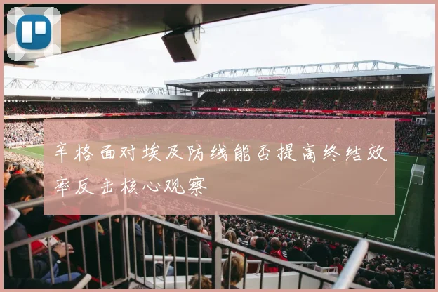 辛格面对埃及防线能否提高终结效率反击核心观察
