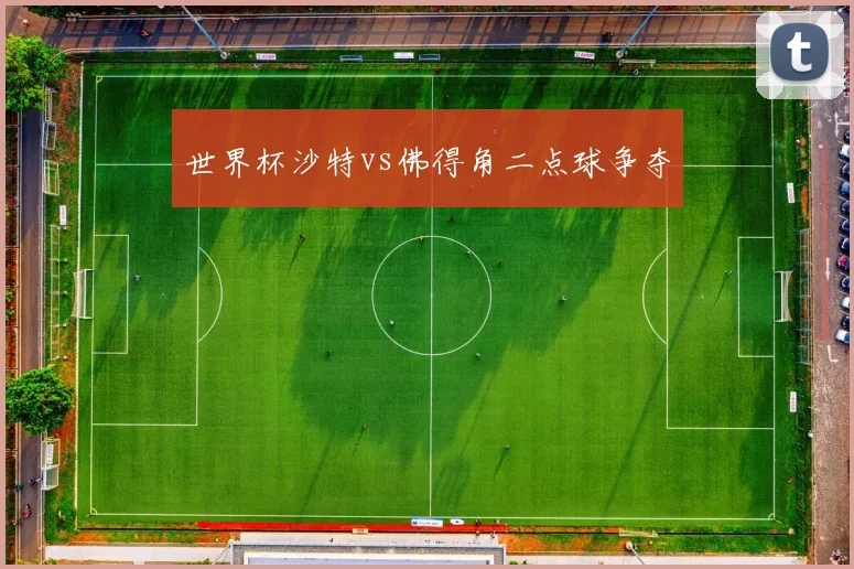 世界杯沙特vs佛得角二点球争夺