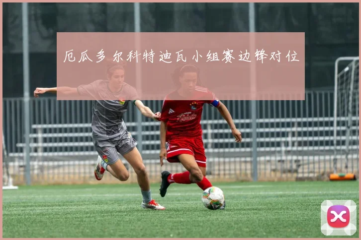 厄瓜多尔科特迪瓦小组赛边锋对位