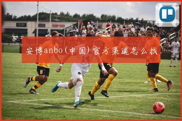 安博anbo(中国)官方渠道怎么找