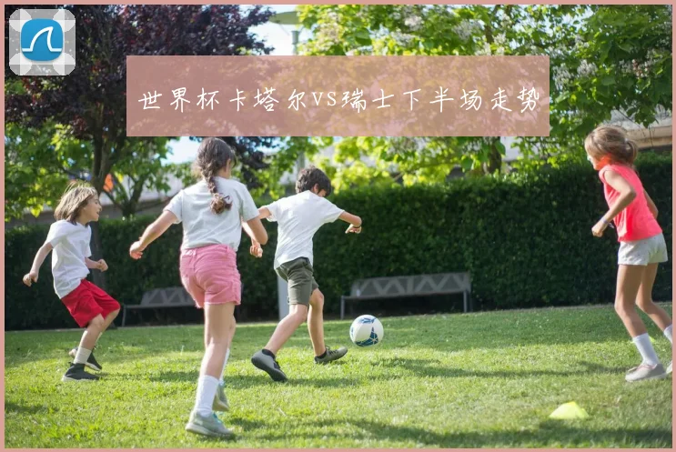 世界杯卡塔尔vs瑞士下半场走势